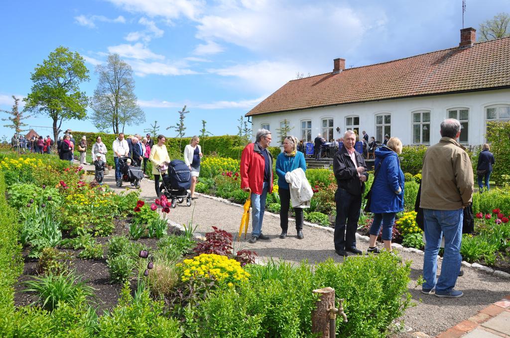 Svabesholms Kungsgards B&B Och Pensionat Stenshuvud Kivik Eksteriør bilde